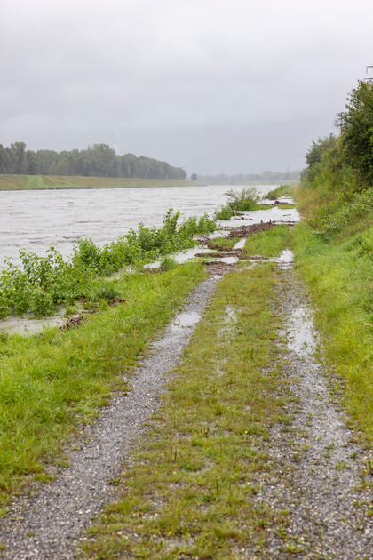 Hochwasser am Rhein