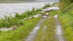 Hochwasser am Rhein