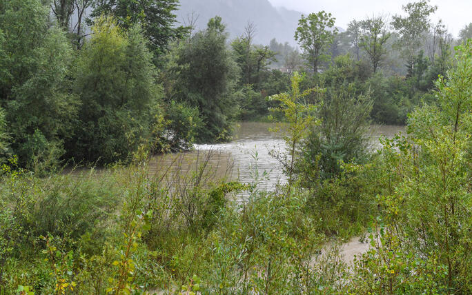 Hochwasser Rhein und Kanal