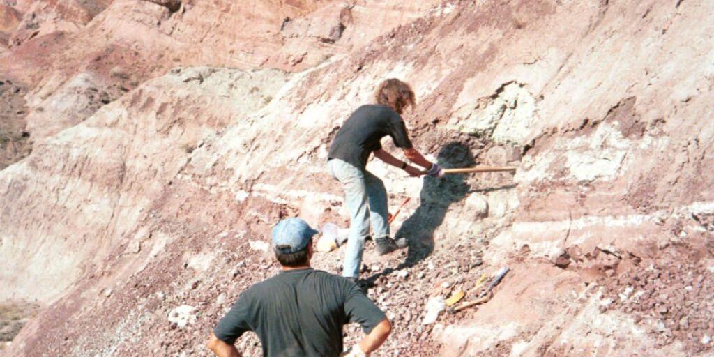 Grabung im Junggar-Becken in Nordwest-China im Jahr 2001: Fundstelle des Dinosaurierknochens mit Bissspuren. (Andreas Matzke, Uni Tübingen)