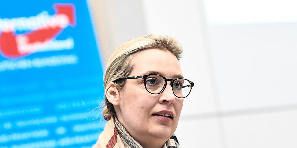 Die rund 130'000 Euro aus der Schweiz hatten AfD-Fraktionschefin Alice Weidel in Bedrängnis gebracht - inzwischen hat die Partei die Bundestagsverwaltung informiert, wo das Geld herkommt.