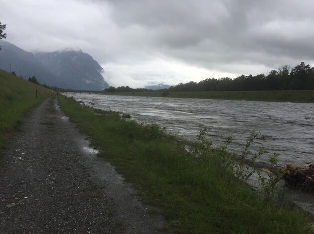 Rhein Hochwasser Rhein Hochwasser