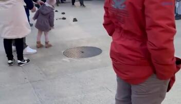 Esel Ruppi bei seinem Einsatz