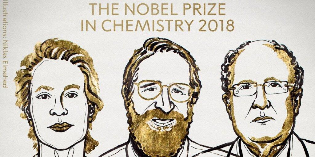 Der Nobelpreis für Chemie geht zur Hälfte an die Amerikanerin Frances Arnold und zu je einem Viertel an ihren Landsmann George Smith und den Briten Sir Gregory Winter. (Bild nobelprize.org)