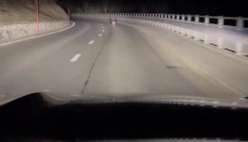 Sichtung des Wolfpaars zwischen Steg und Malbun am 24. M&auml;rz 2026