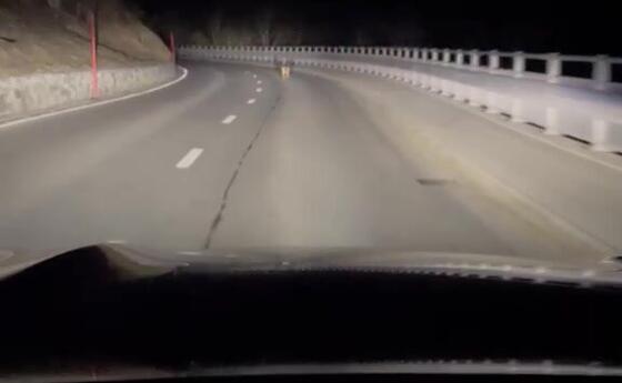 Sichtung des Wolfpaars zwischen Steg und Malbun am 24. M&auml;rz 2026