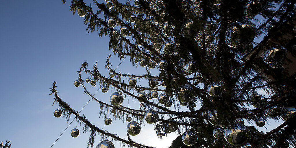 Die Äste sind fast kahl: Der dürre Weihnachtsbaum der Stadt Rom sorgte für viel Spott.