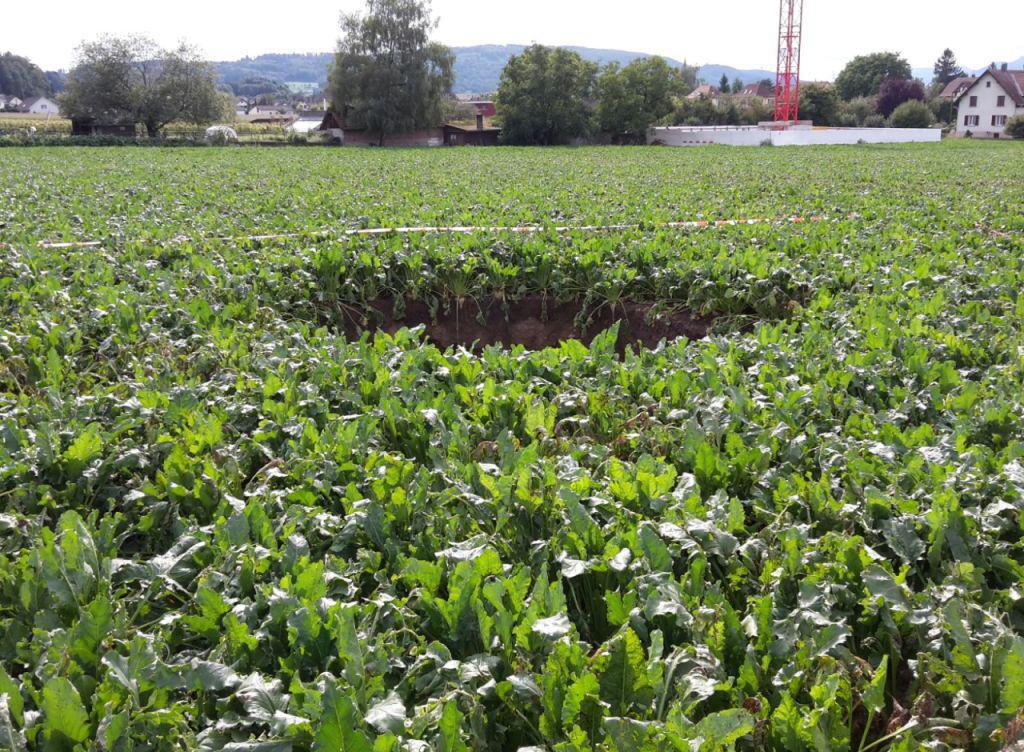 Mitten in einem Feld in Gretzenbach SO ist am Samstag ein grösserer Loch entstanden. 15 Meter darunter wird der Eppenbergtunnel der SBB vorangetrieben. Mitten in einem Feld in Gretzenbach SO ist am Samstag ein grösserer Loch entstanden. 15 Meter darunter wird der Eppenbergtunnel der SBB vorangetrieben.