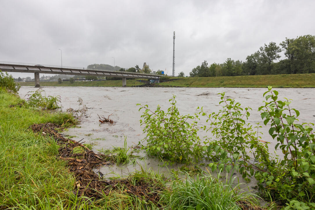 Hochwasser am Rhein