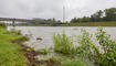 Hochwasser am Rhein