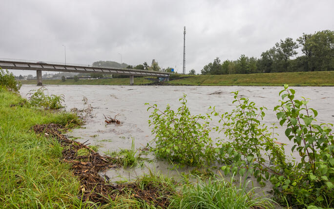 Hochwasser am Rhein