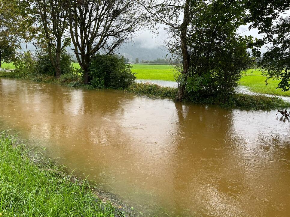 Die Esche ist in Eschen über die Ufer getreten.