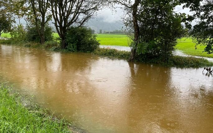 Die Esche ist in Eschen über die Ufer getreten.