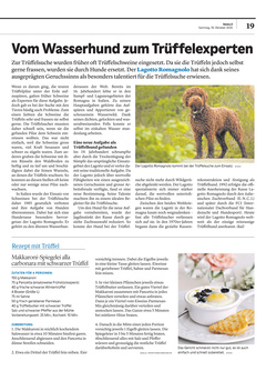 Seite 019