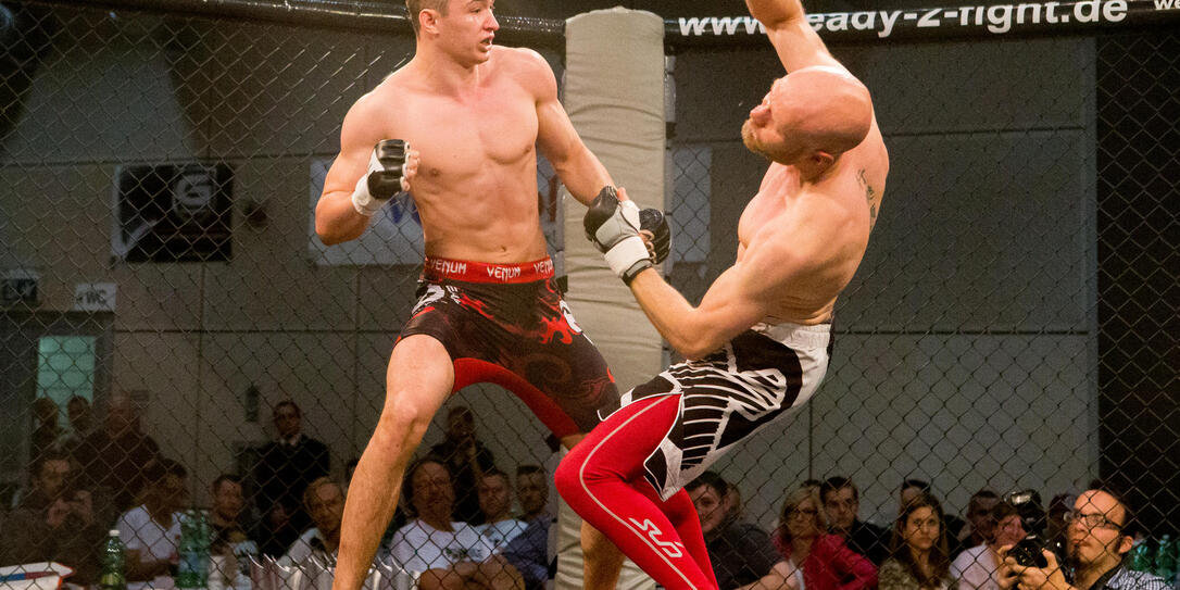 MMA Fight Night 2016