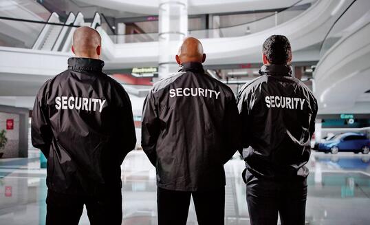 Security Guard Officers Standing
