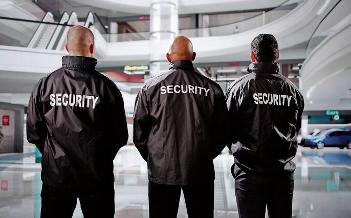 Security Guard Officers Standing