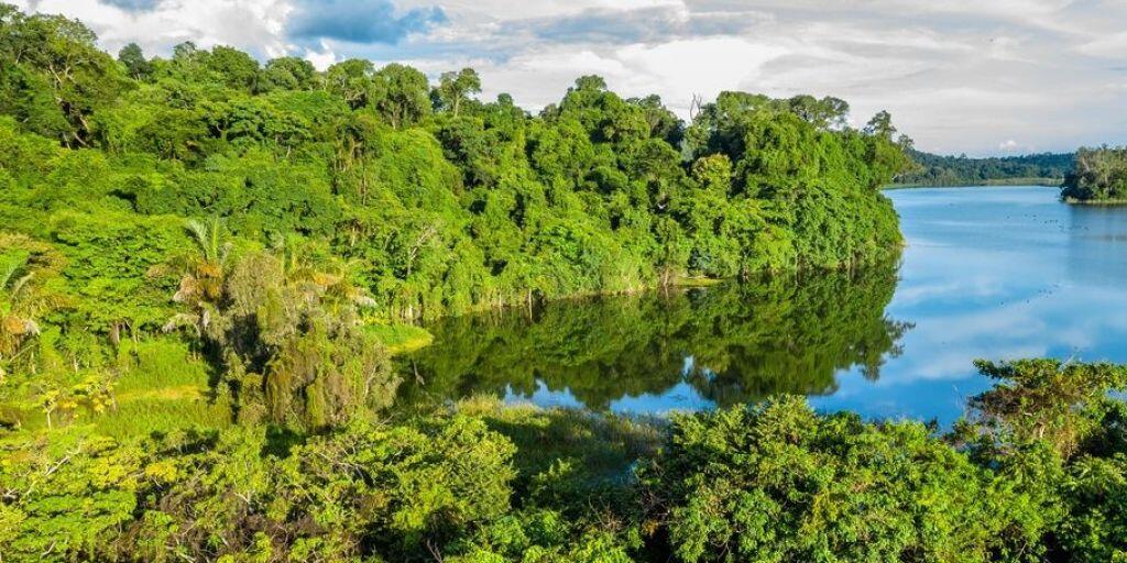 So dichte Regenwälder wie hier im Ankarafantsika Nationalpark wird es auf Madagaskar bald nicht mehr geben. In 30 Jahren wird die Insel unter anderem von der Maispflanzer-Mafia kahl gerodet sein, befürchten Umweltschützer. (Archivbild)