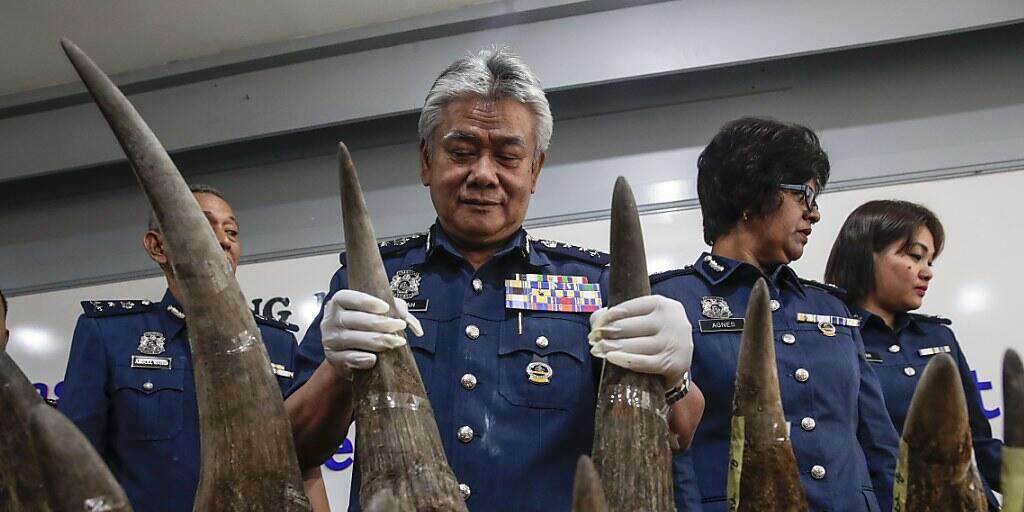 China will vorerst auf den Handel von Nashornhörnern und Tigerknochen verzichten. (Symbolbild)