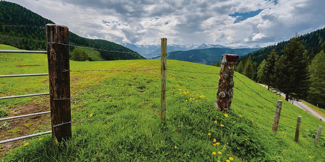 Fenced pasture in Austria