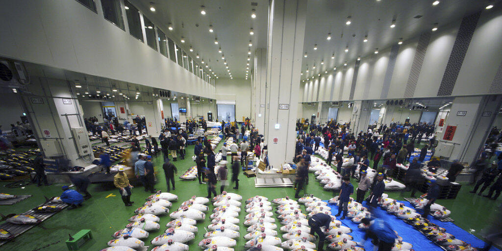 Erster Handelstag am neuen Standort: Der neue Fischmarkt von Tokio ist eröffnet worden.