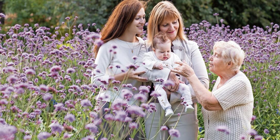 Great-grandmother, grandmother, mother in a beautiful lavender field Great-grandmother, grandmother, mother in a beautiful lavender field