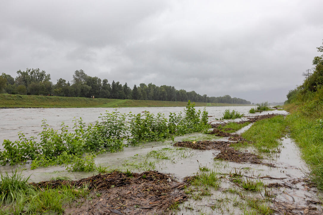 Hochwasser am Rhein