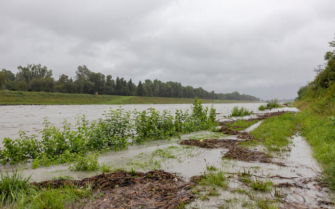 Hochwasser am Rhein